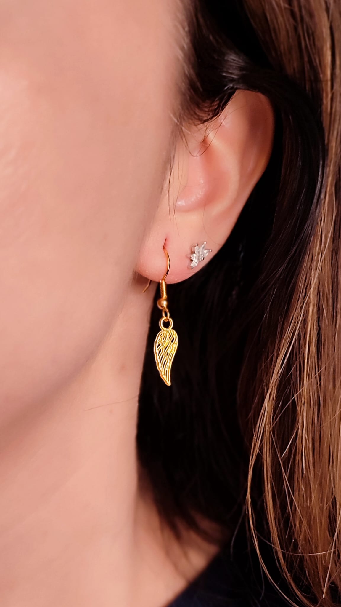 Pendientes Ala